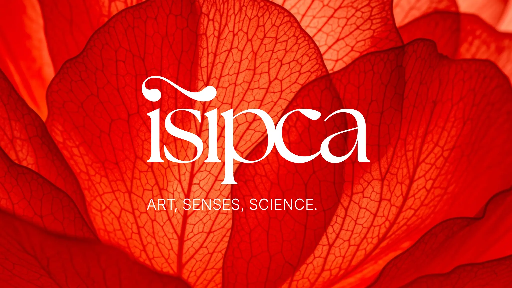 Carré Noir - ISIPCA 